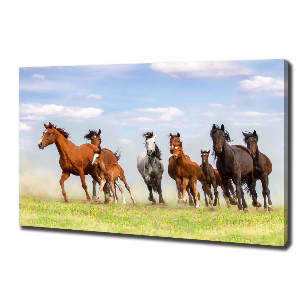 Large canvas wall art Horses at gallop