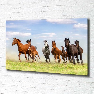 Large canvas wall art Horses at gallop