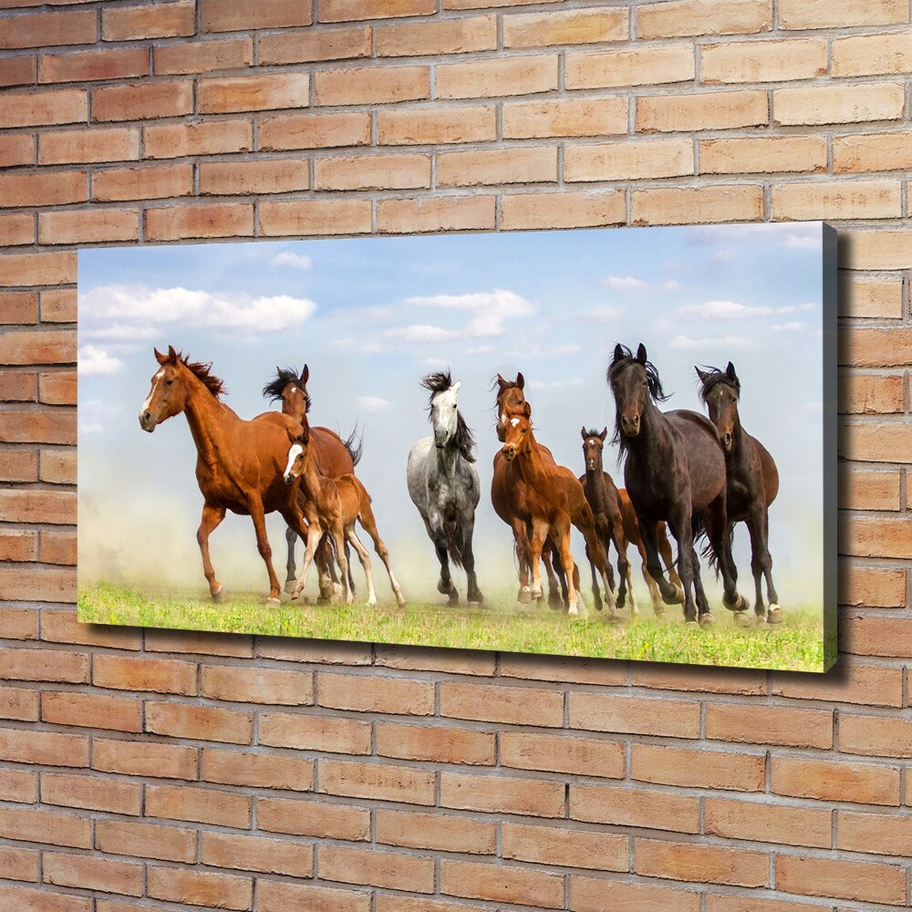 Large canvas wall art Horses at gallop