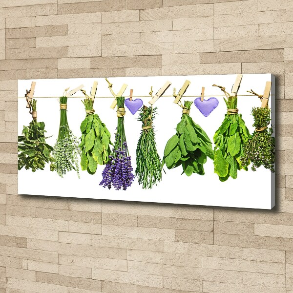 Canvas wall art Herbs on a string