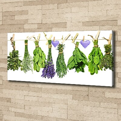 Canvas wall art Herbs on a string