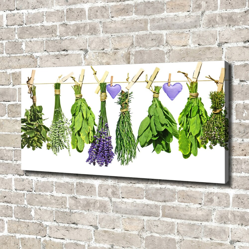 Canvas wall art Herbs on a string