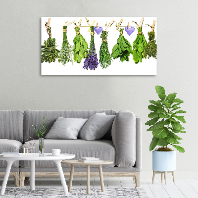 Canvas wall art Herbs on a string