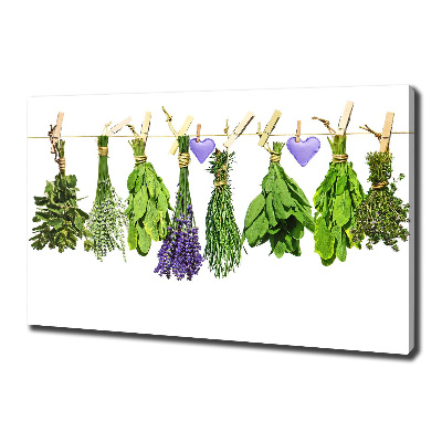 Canvas wall art Herbs on a string