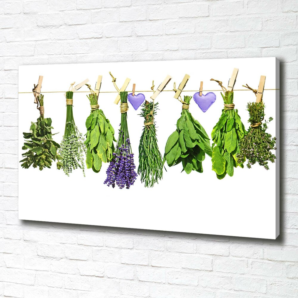 Canvas wall art Herbs on a string