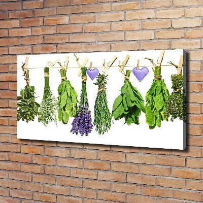 Canvas wall art Herbs on a string