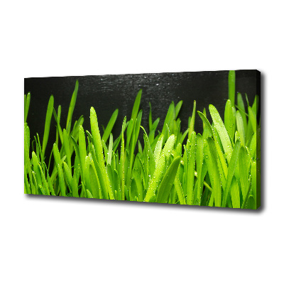 Canvas wall art Grass