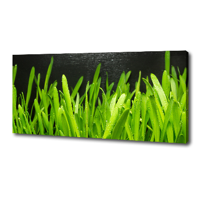 Canvas wall art Grass