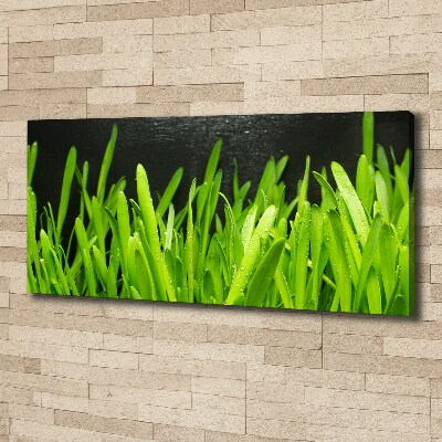 Canvas wall art Grass