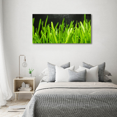 Canvas wall art Grass