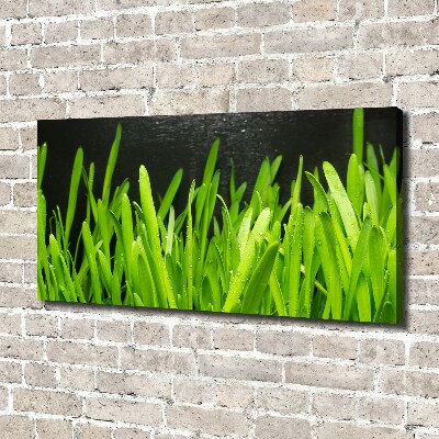 Canvas wall art Grass