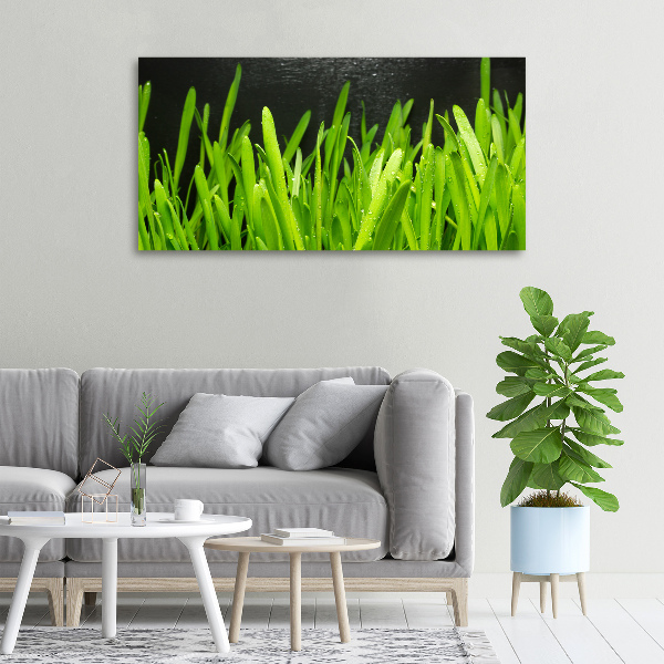 Canvas wall art Grass