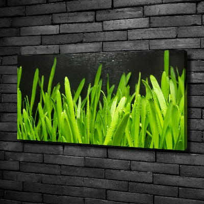 Canvas wall art Grass