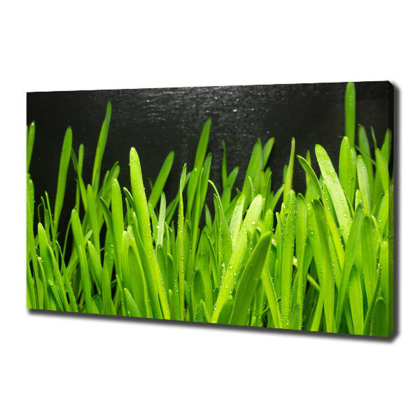 Canvas wall art Grass