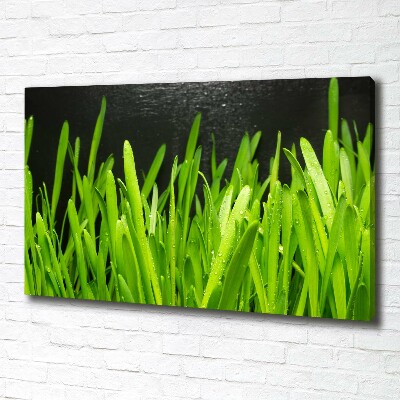 Canvas wall art Grass