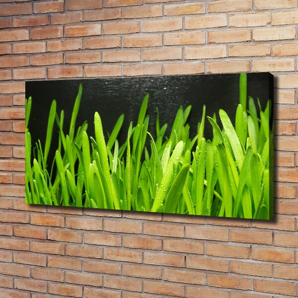 Canvas wall art Grass