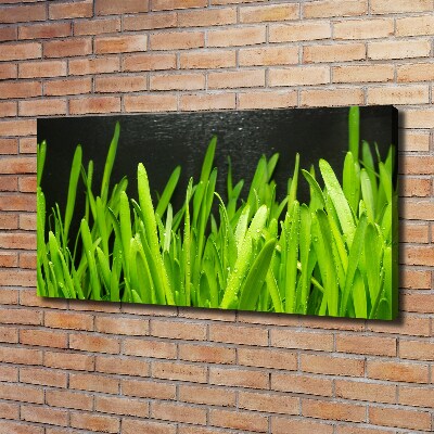 Canvas wall art Grass