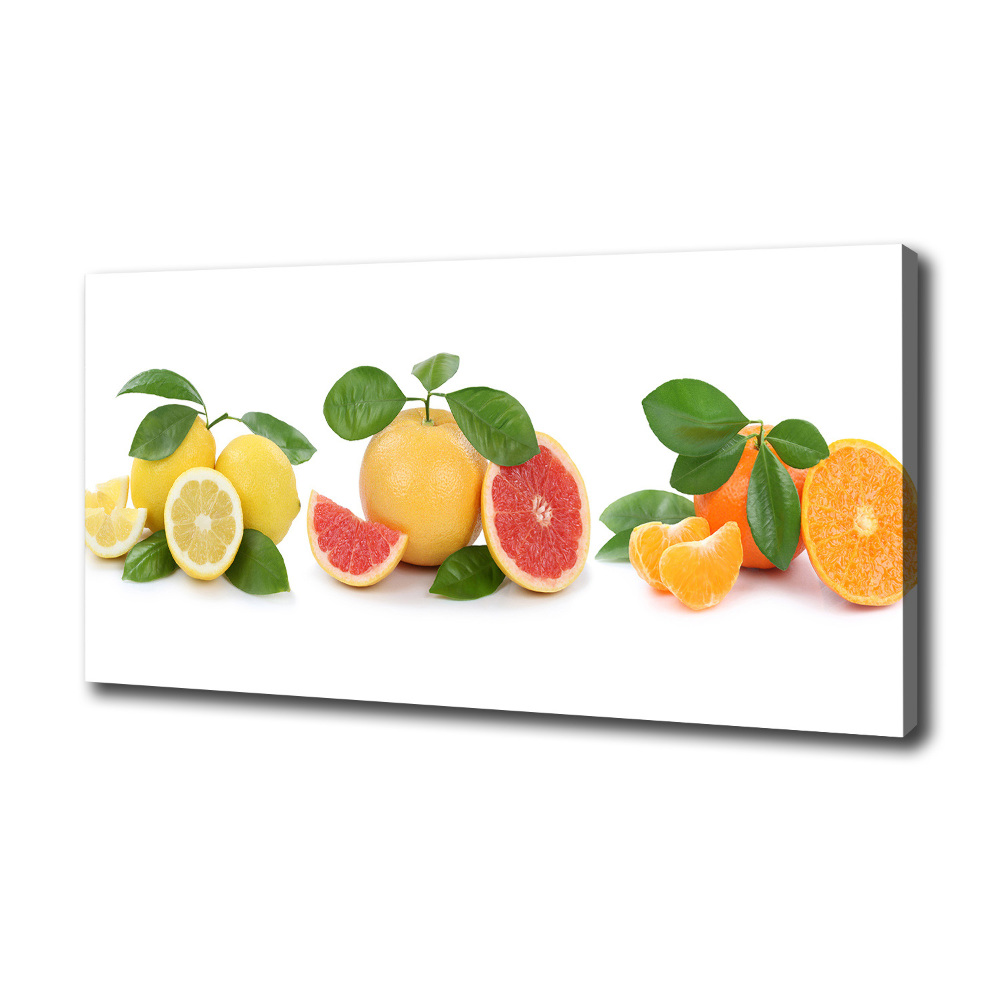 Canvas wall art Citrus fruits