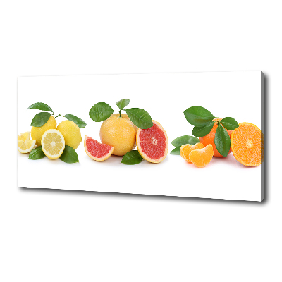 Canvas wall art Citrus fruits