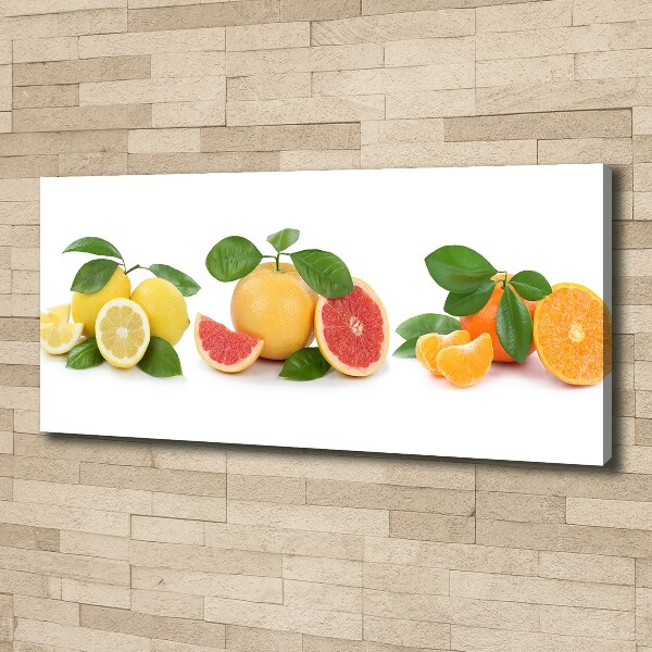 Canvas wall art Citrus fruits