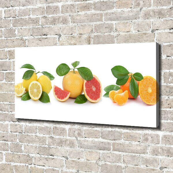 Canvas wall art Citrus fruits