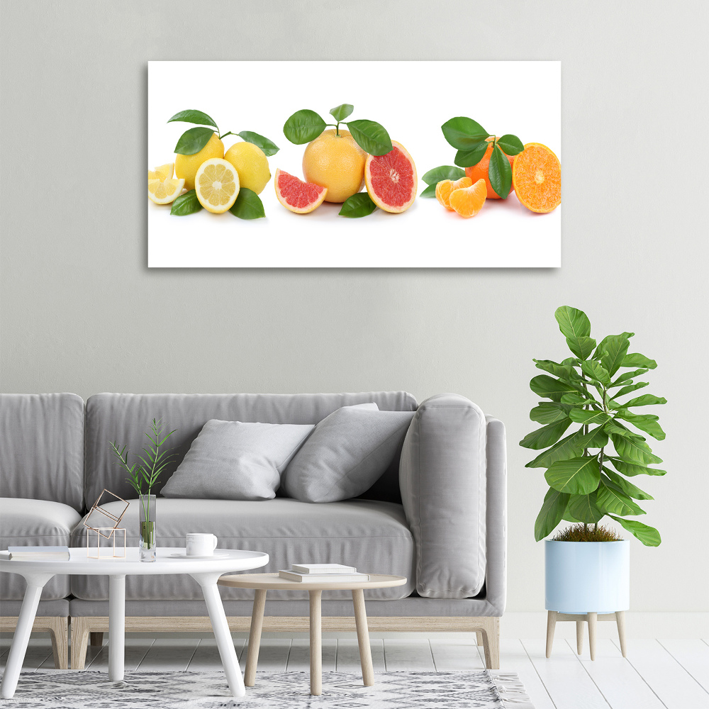 Canvas wall art Citrus fruits