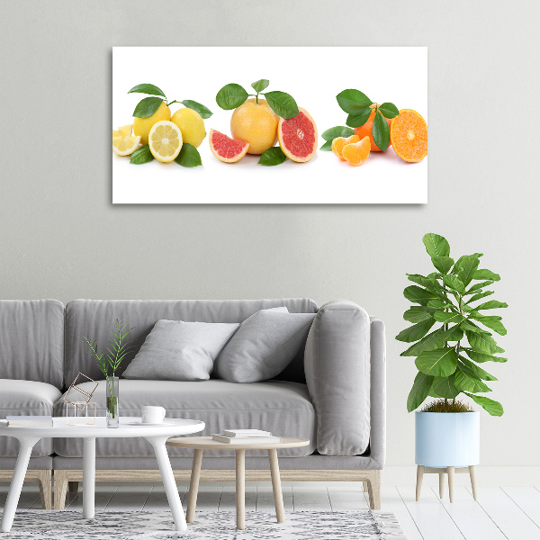 Canvas wall art Citrus fruits