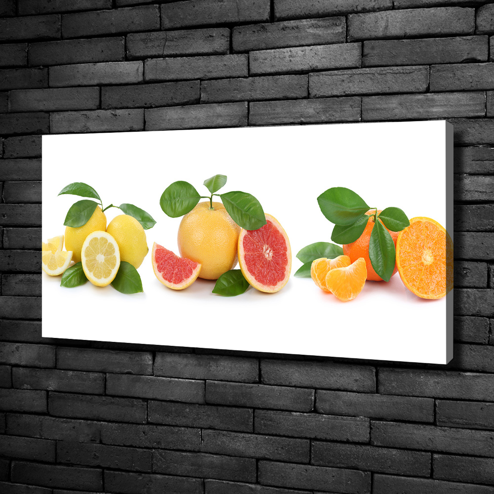 Canvas wall art Citrus fruits