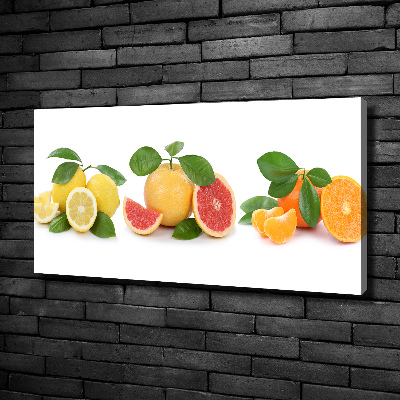 Canvas wall art Citrus fruits