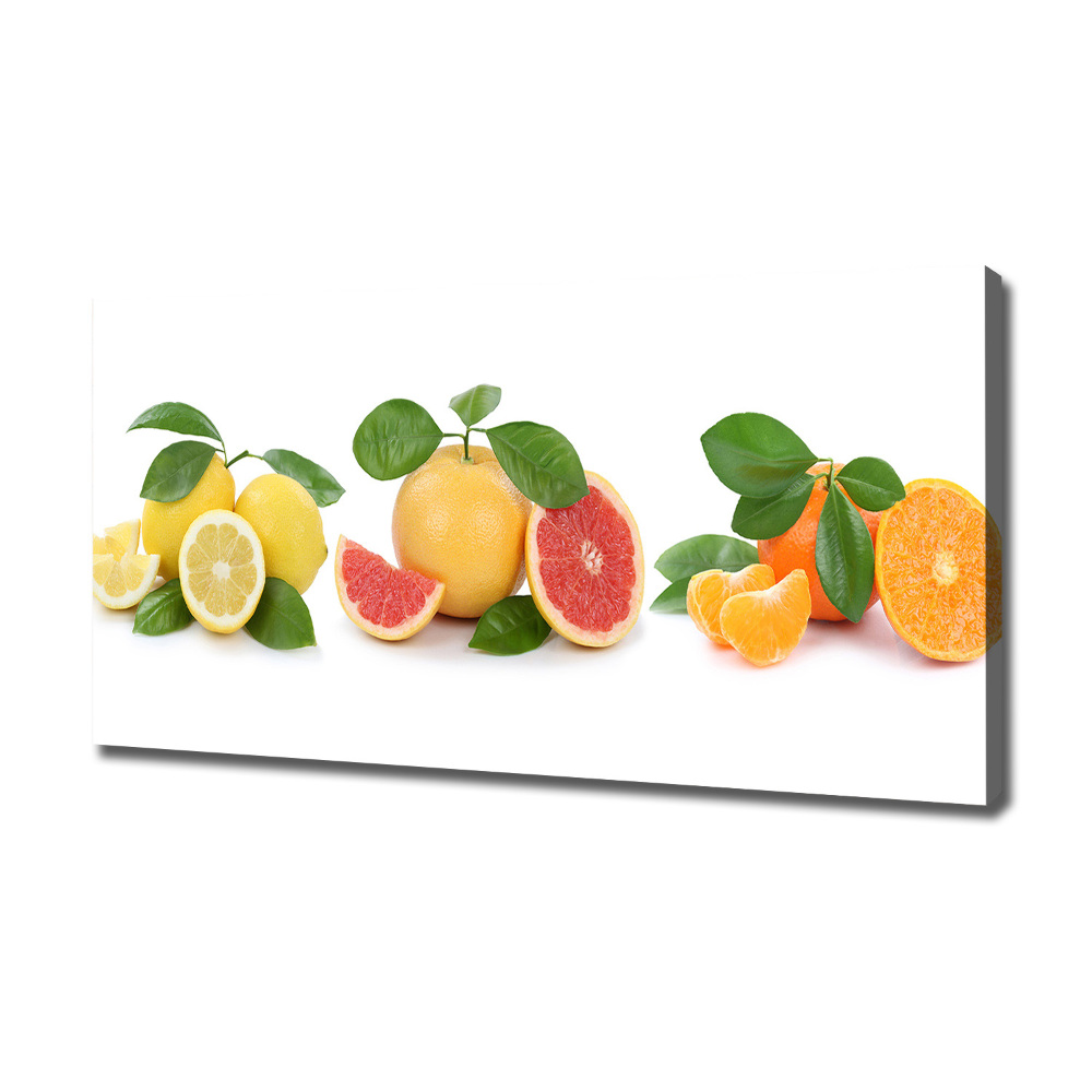 Canvas wall art Citrus fruits