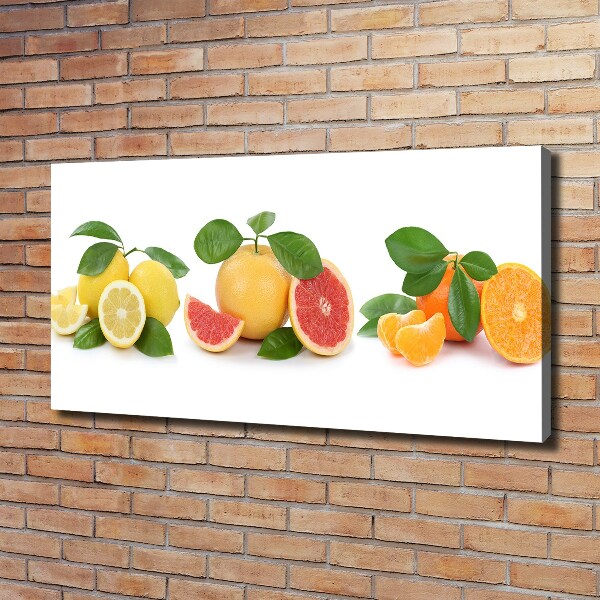 Canvas wall art Citrus fruits