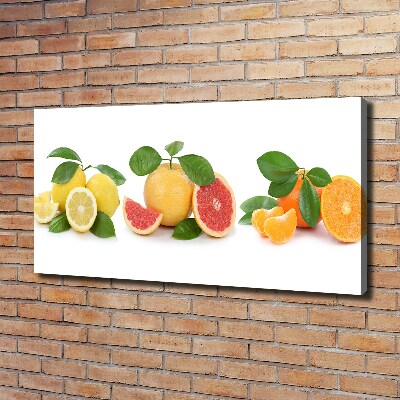 Canvas wall art Citrus fruits