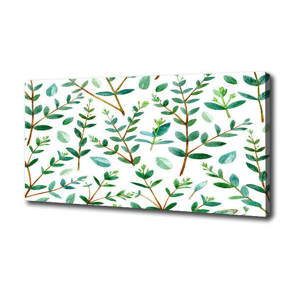 Canvas wall art Eucalyptus