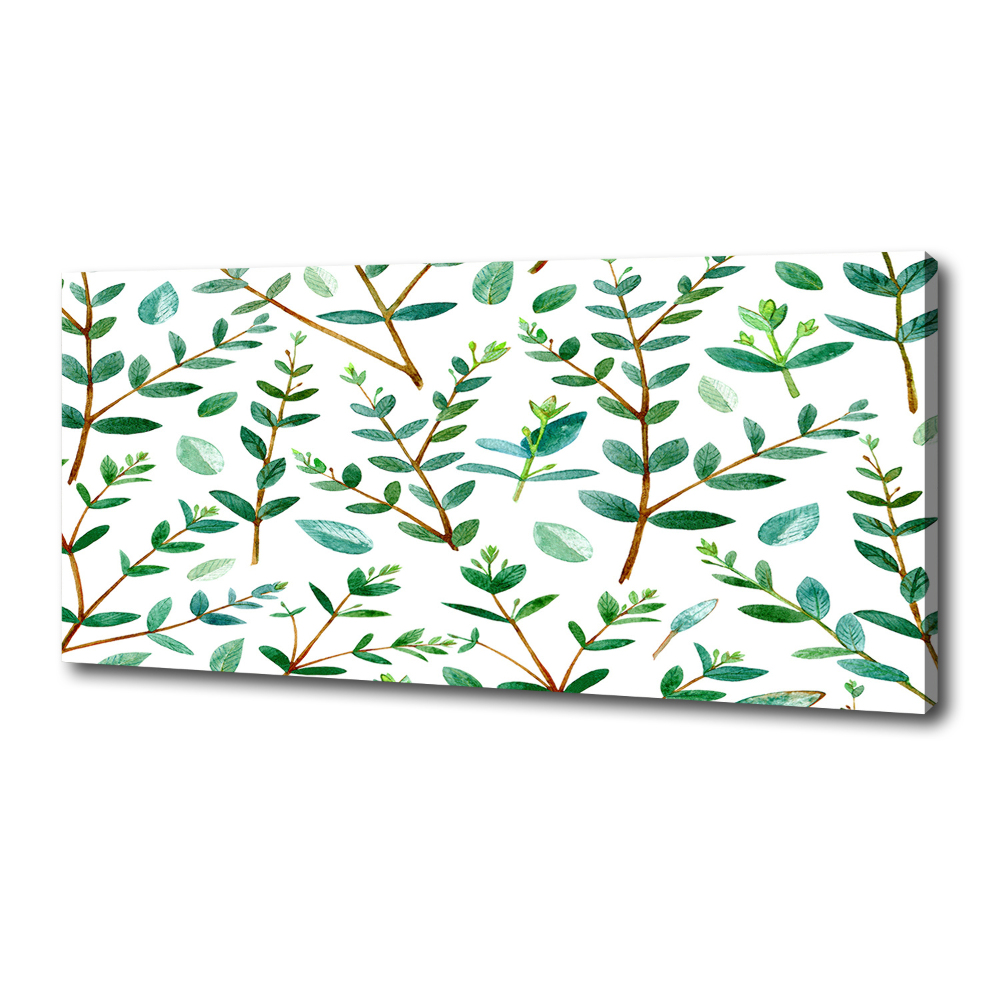 Canvas wall art Eucalyptus