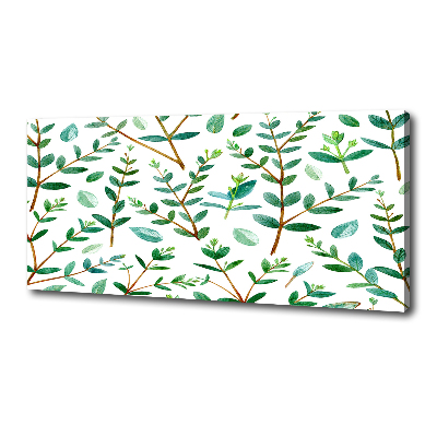 Canvas wall art Eucalyptus