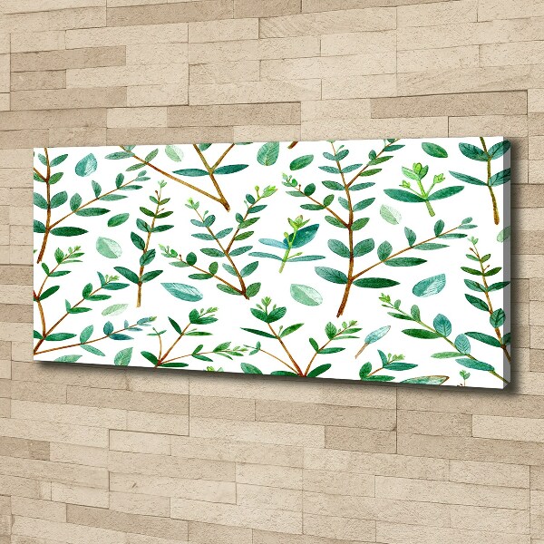 Canvas wall art Eucalyptus