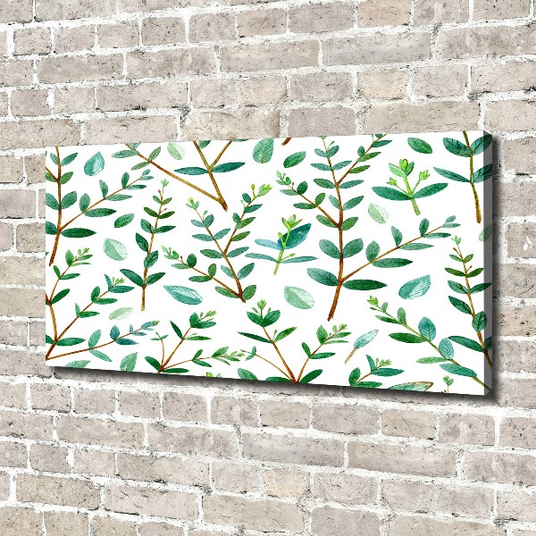 Canvas wall art Eucalyptus