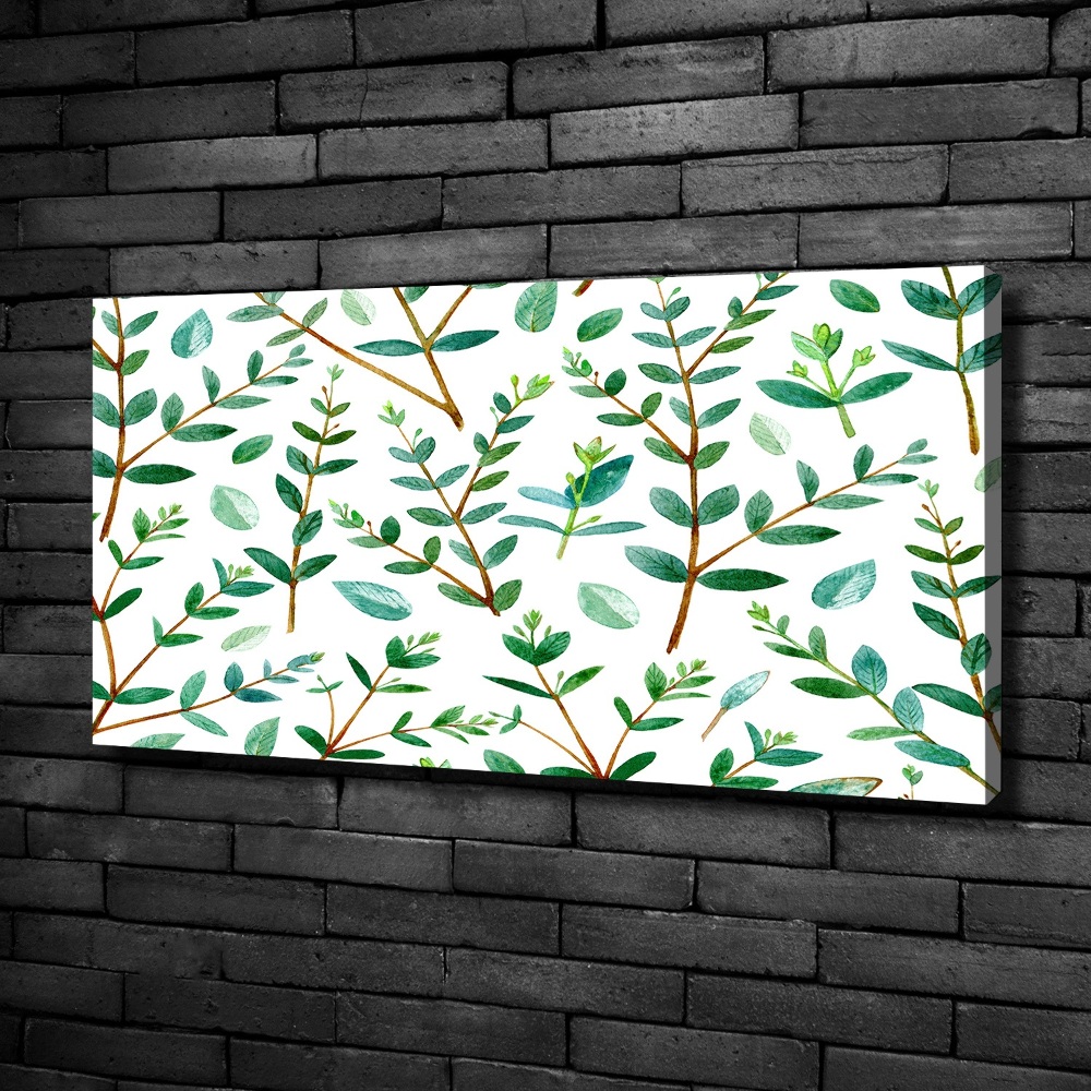 Canvas wall art Eucalyptus