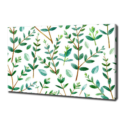 Canvas wall art Eucalyptus