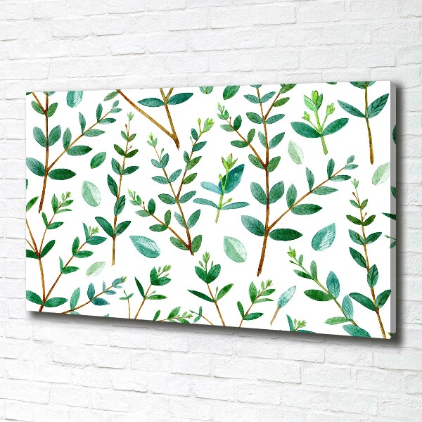 Canvas wall art Eucalyptus