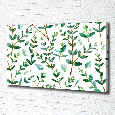 Canvas wall art Eucalyptus