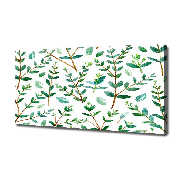 Canvas wall art Eucalyptus