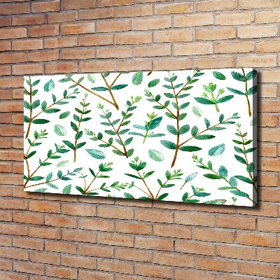 Canvas wall art Eucalyptus