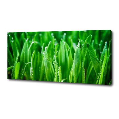 Canvas wall art Grass