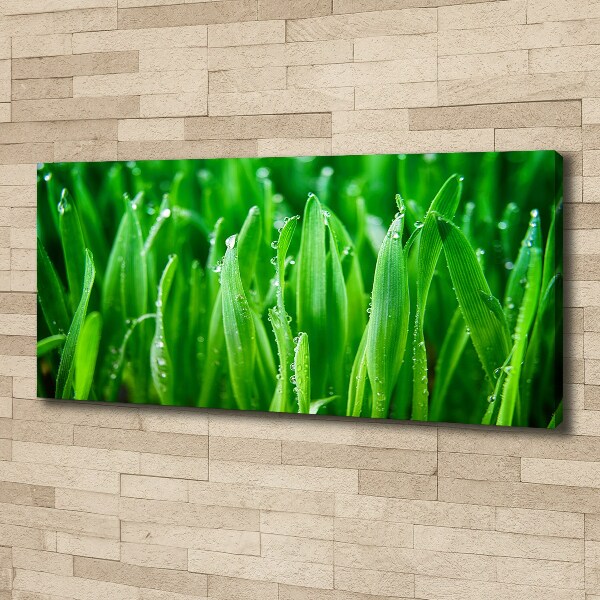 Canvas wall art Grass