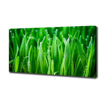 Canvas wall art Grass