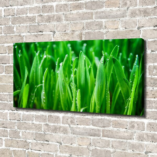 Canvas wall art Grass