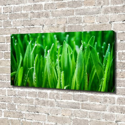 Canvas wall art Grass