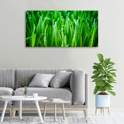 Canvas wall art Grass