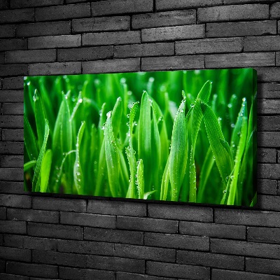 Canvas wall art Grass